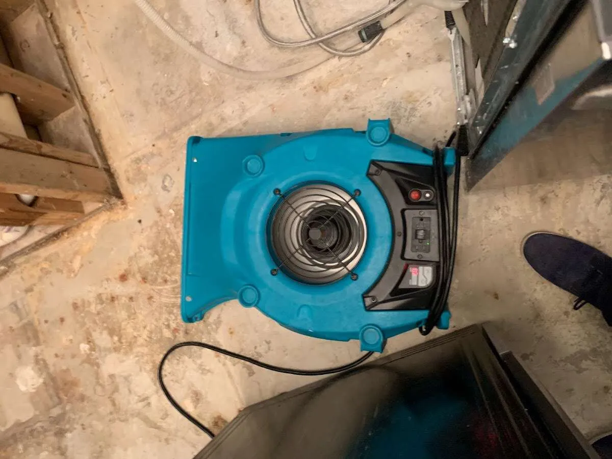Air mover drying equipment for Mold Remediation & Removal in Winslow
